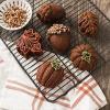 Nordic Ware Autumn Treats Pan, Bronze(Nordic Ware Autumn Treats Pan  Bronze)