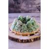 Nordic Ware Pine Forest Bundt, Sparkling Silver, 9 Cup(Pine Forest Bundt  9 Cup)