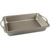 Nordic Ware Treat Nonstick 9 inch Round Cake Pan(9×13)
