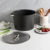 Nordic Ware Verde Ceramic Nonstick 20 Quart Stockpot with Lid