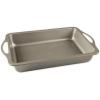 Nordic Ware Treat Nonstick 9 inch Round Cake Pan(9×13)